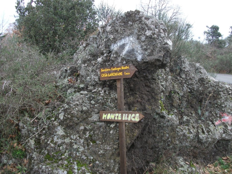 nte Ilice-20110120 001